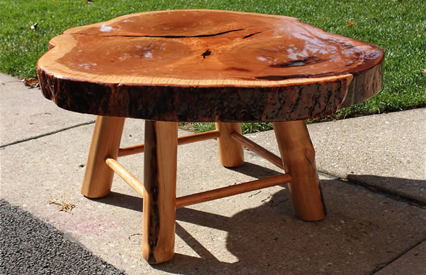 Wood Slab Coffee Table